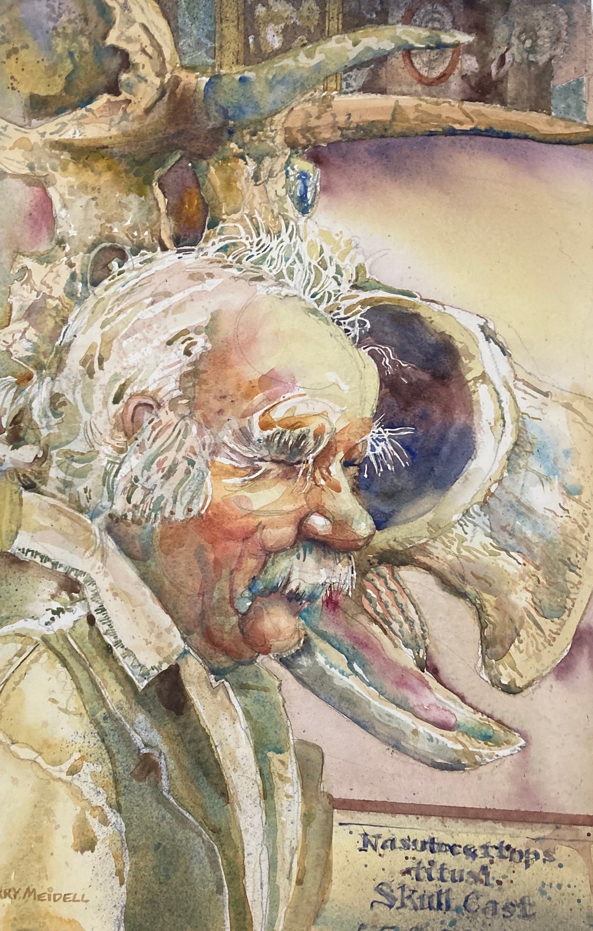 Back From the Digs-Sherry Meidell