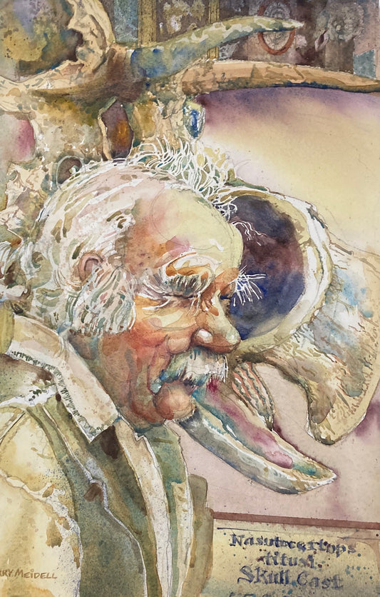 Back From the Digs-Sherry Meidell