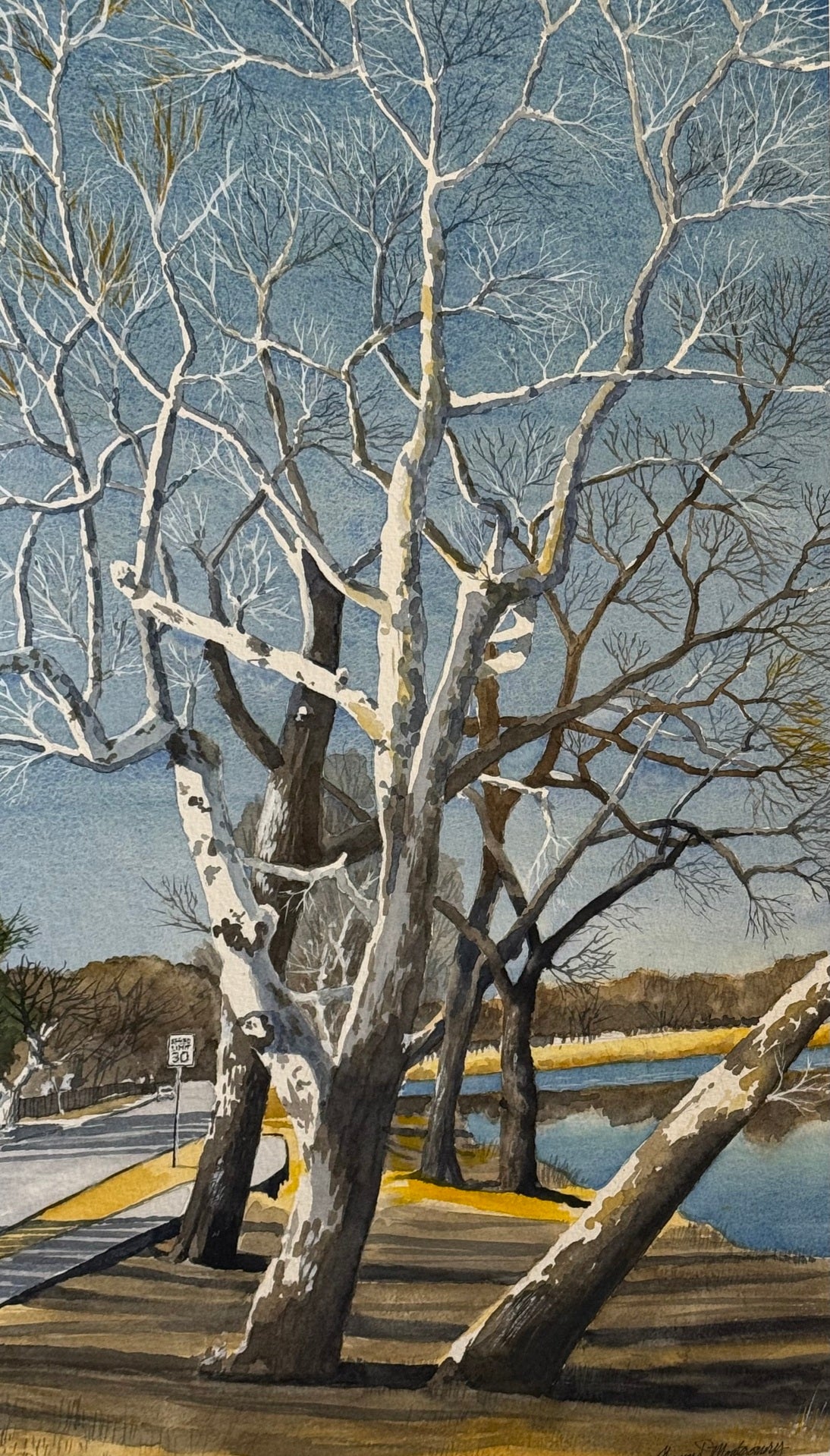 Sycamores by the River-Thomas Montgomery