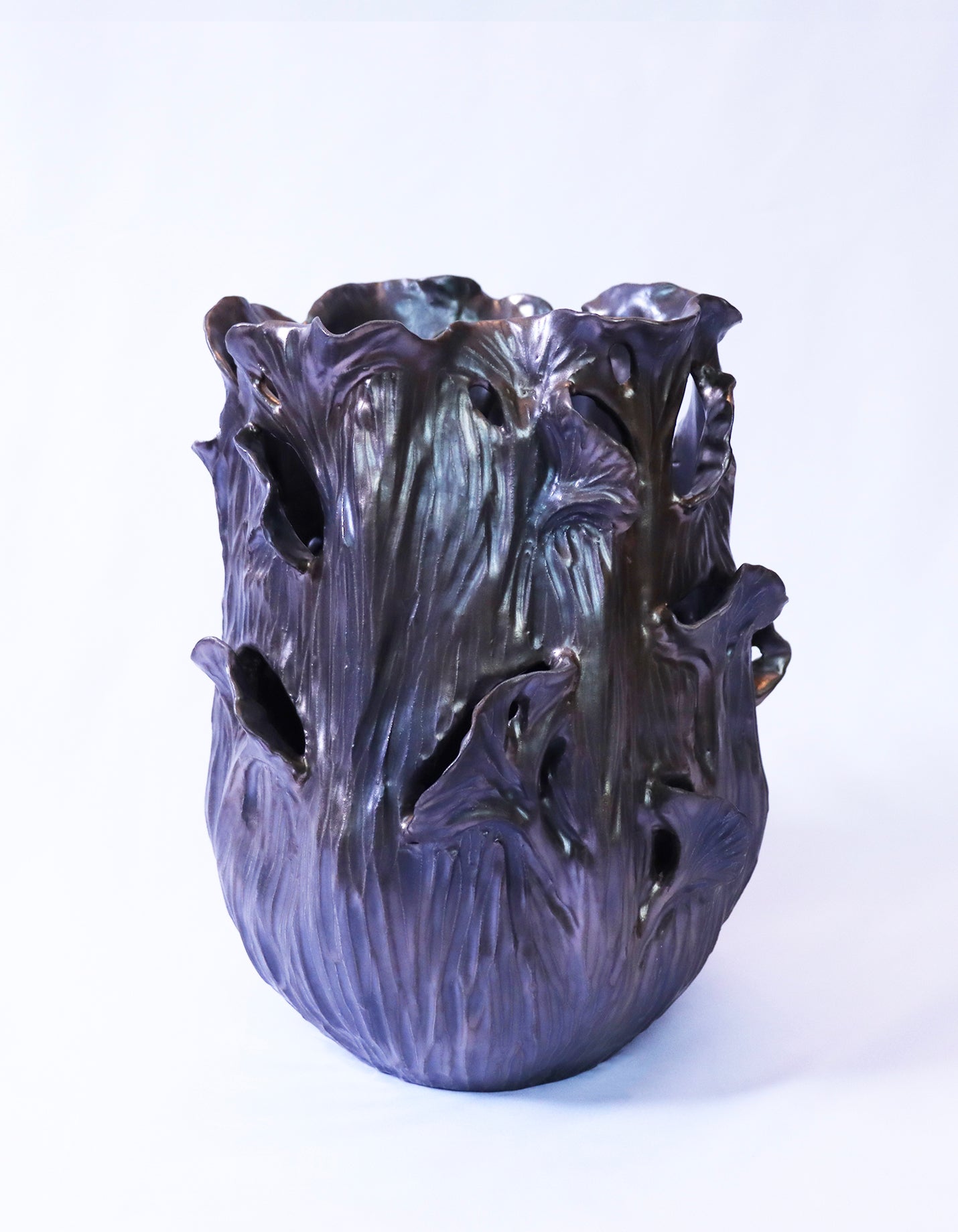 Owens - Petrified Ginkgo