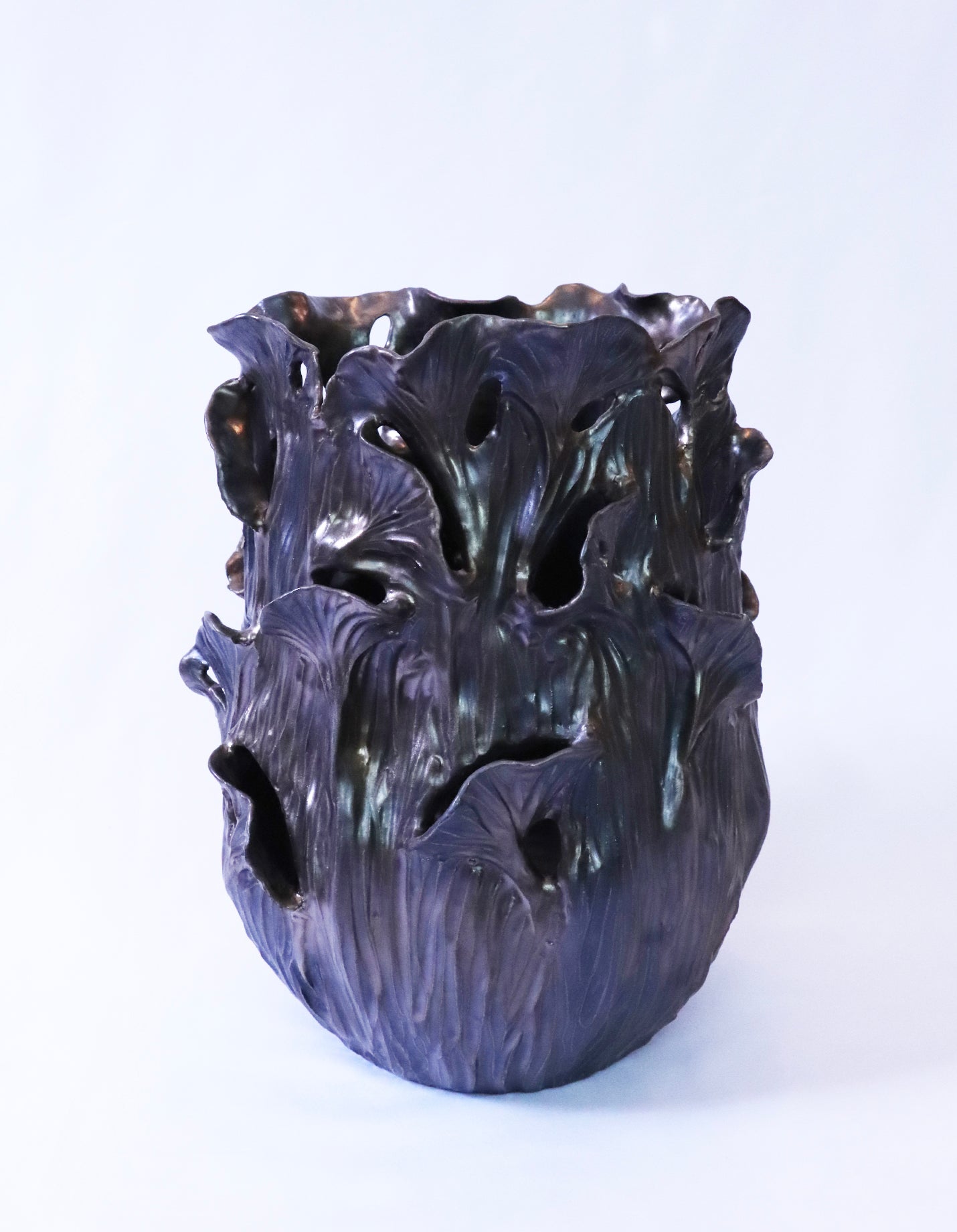 Owens - Petrified Ginkgo