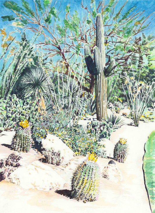 Desert View, I-Barbara Sullivan