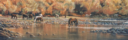 Varner - The Golden Hour on Cottonwood Creek