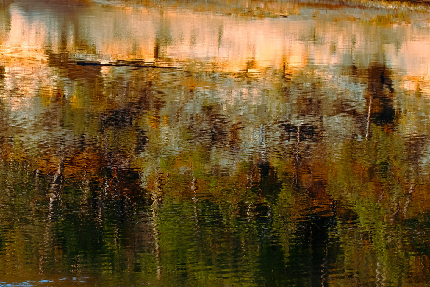 Weller - Silence Made Visible