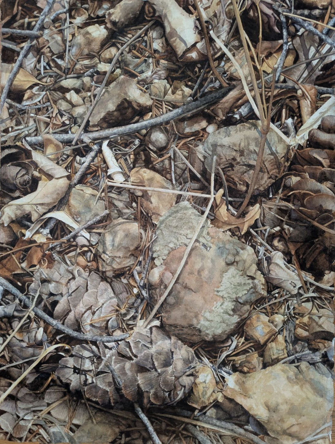 Forest Floor II-Allan Worthing