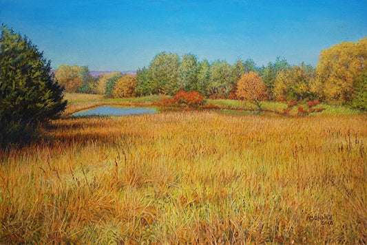 The Pond Across the Field - Randall Bennett