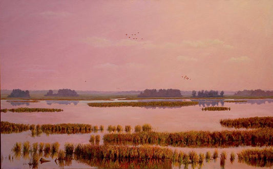 Wetlands in Magenta Light - Randall Bennett